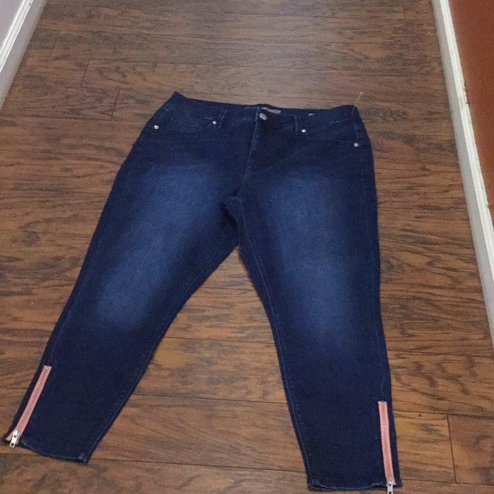 Melissa McCarthy Seven7 Pencil Jeans